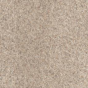 Textured Saxony Treat Brown Carpet