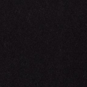 Cut Pile Tuxedo Black Carpet