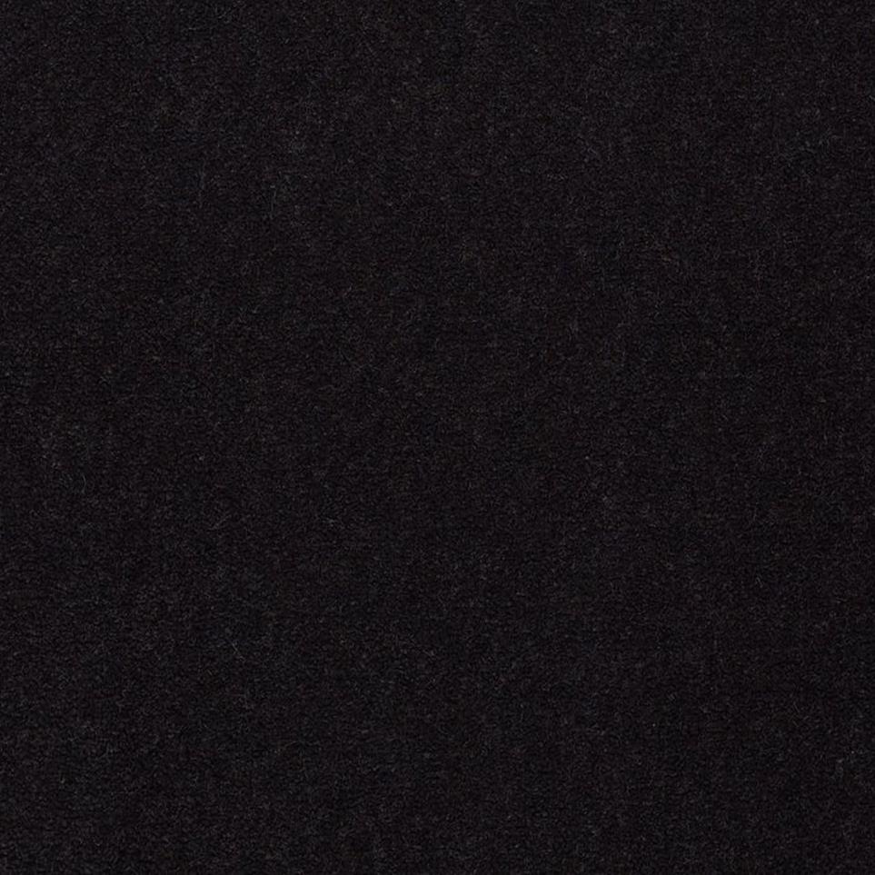 Cut Pile Tuxedo Black Carpet