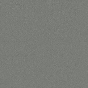 Textured Saxony Wedgewood Gray Carpet