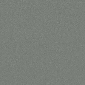 Textured Saxony Wedgewood Gray Carpet