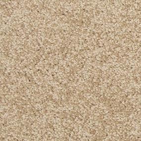 Texture Peaceful Beige/Tan Carpet