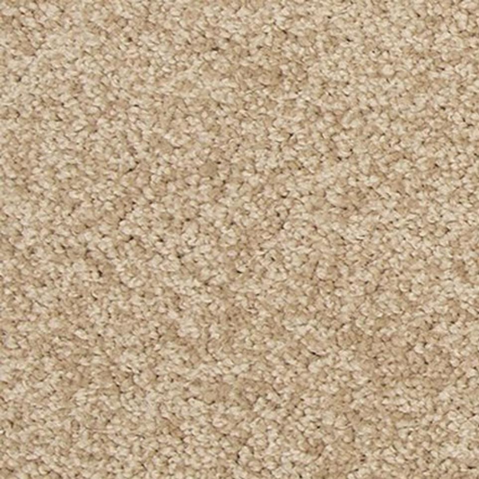 Textured Saxony Peaceful Beige/Tan Carpet