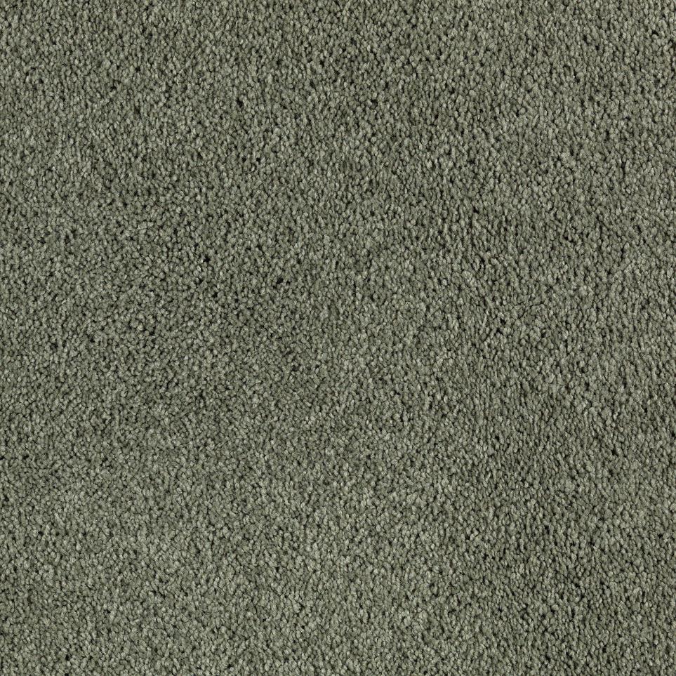 Texture Hide and Go Green Carpet
