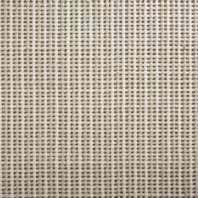 Pattern Sawgrass Beige/Tan Carpet
