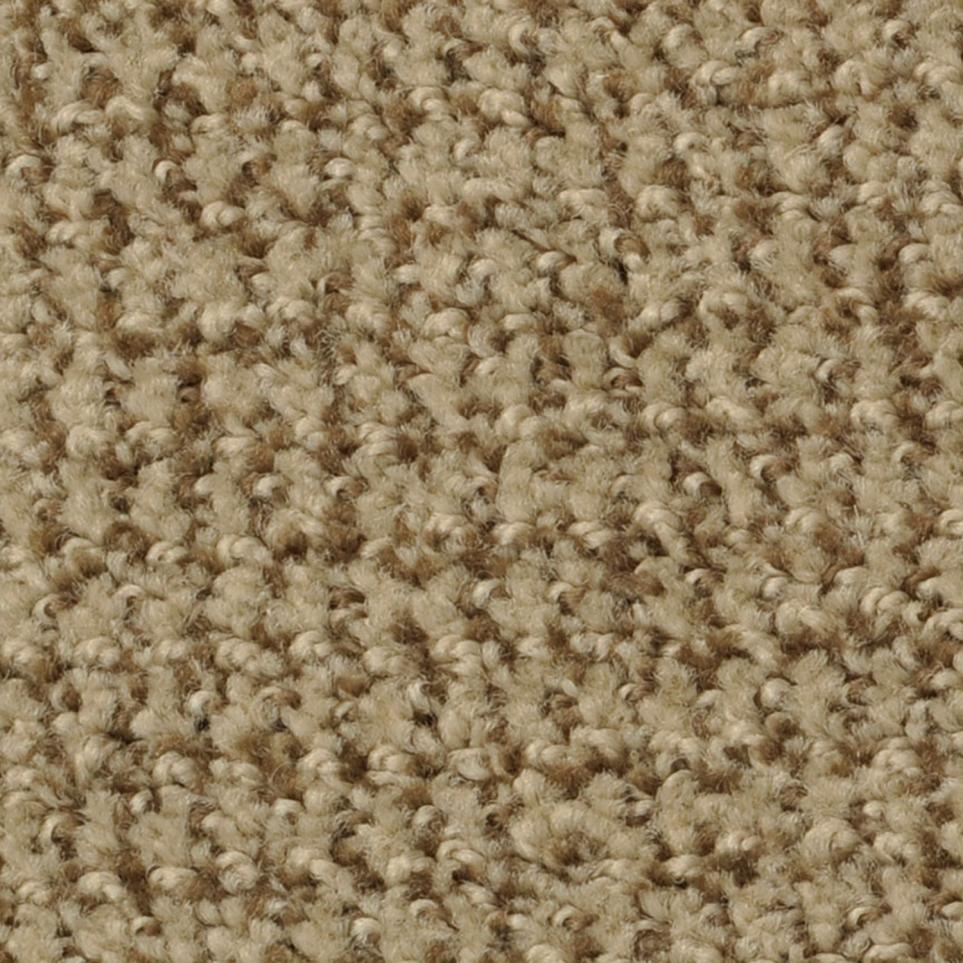 Pattern Pepper Spice  Carpet