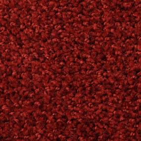 Pattern Very Berry Red Carpet