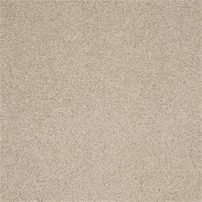 Textured Saxony Marsh Beige/Tan Carpet