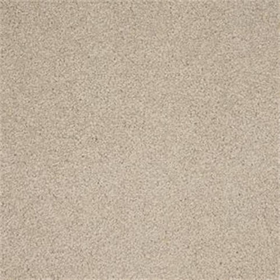 Textured Saxony Marsh Beige/Tan Carpet
