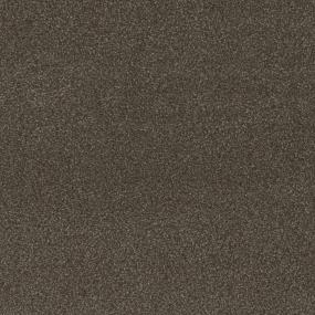 Textured Saxony Character Brown Carpet