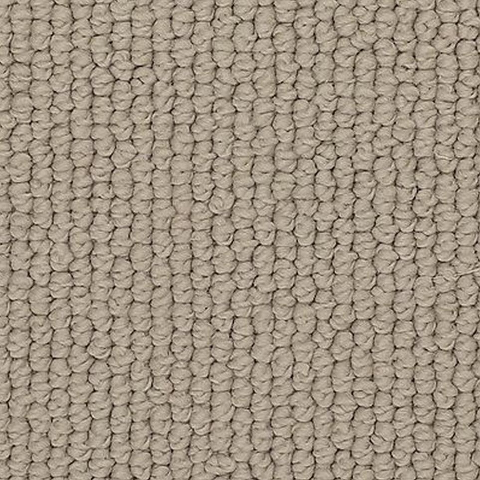 Loop Wilmington Brown Carpet