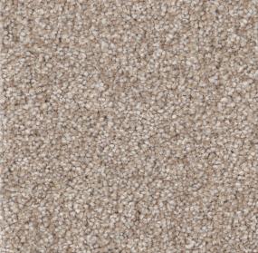Textured Saxony Twine Gray Carpet