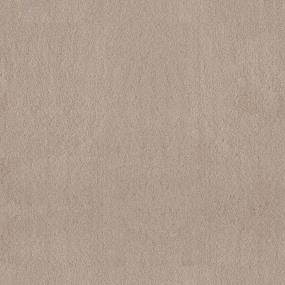 Plush Cotton Beige/Tan Carpet