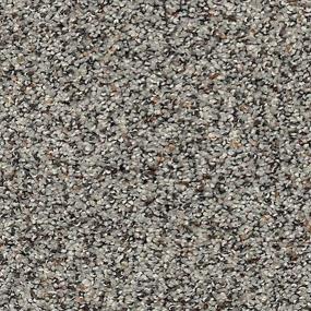Pattern Pristine Brown Carpet