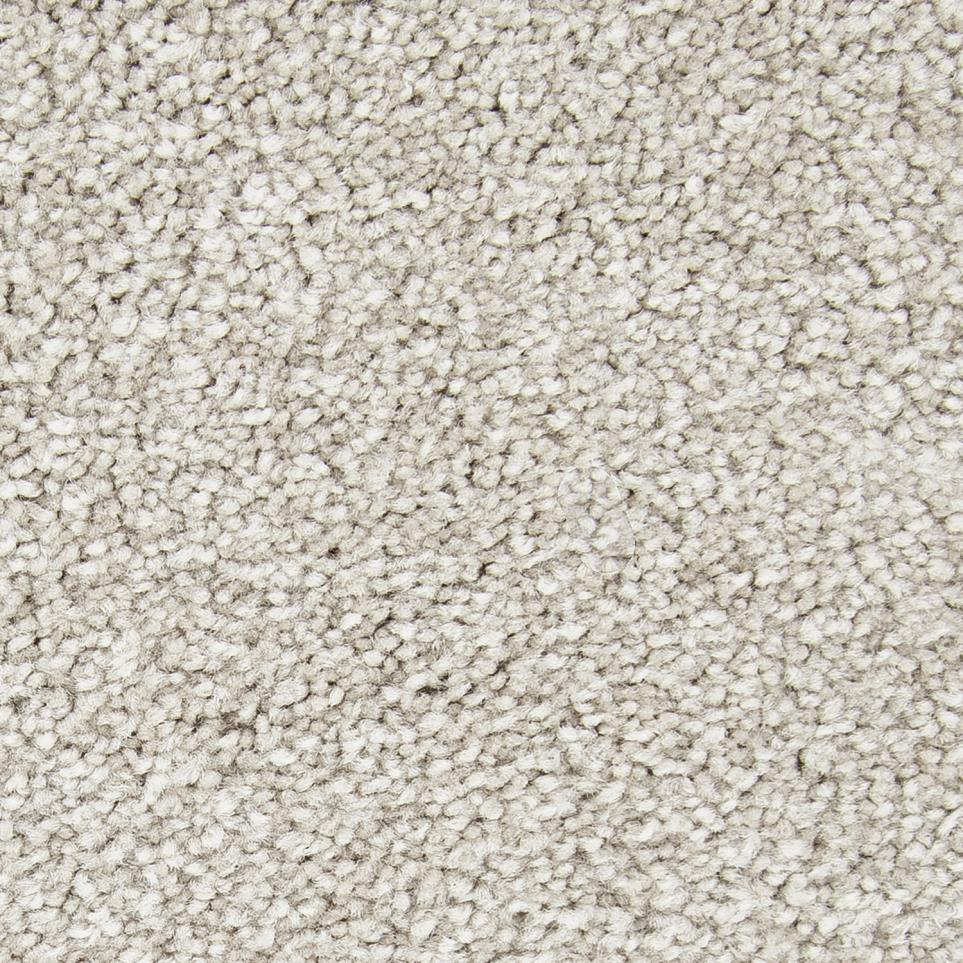 Pattern Divinity Beige/Tan Carpet