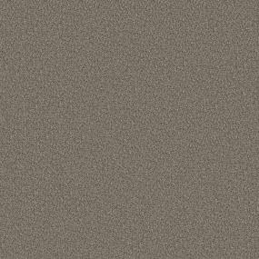 Textured Saxony Terrain Brown Carpet