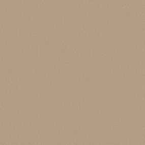 Texture Chenille Beige/Tan Carpet