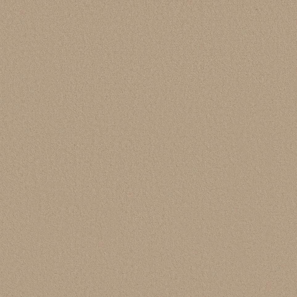 Texture Chenille Beige/Tan Carpet