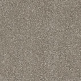 Textured Saxony Suburban Beige/Tan Carpet