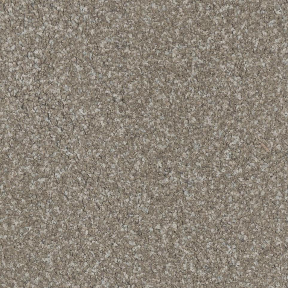 Texture Suburban Beige/Tan Carpet