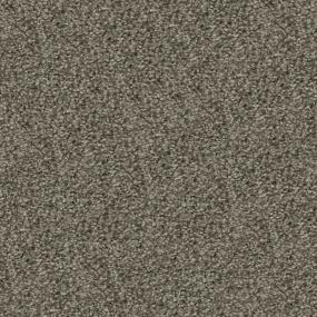 Plush Saxony Whiskers Gray Carpet