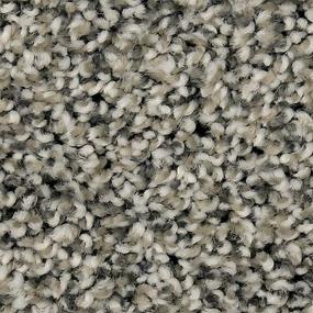 Textured Saxony Flannel Gray Carpet