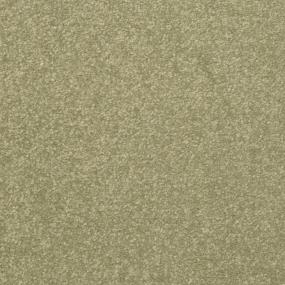 Textured Saxony Clove Brown Carpet