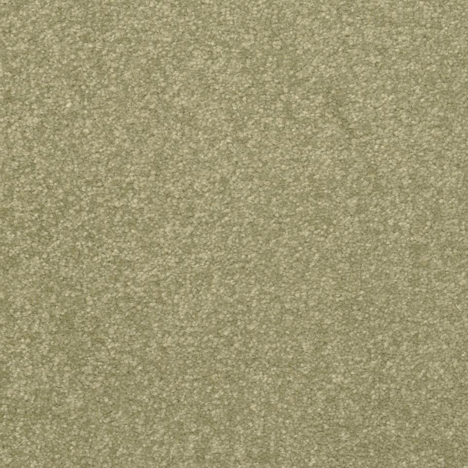 Textured Saxony Clove Brown Carpet