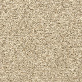 Textured Saxony Granite Beige/Tan Carpet