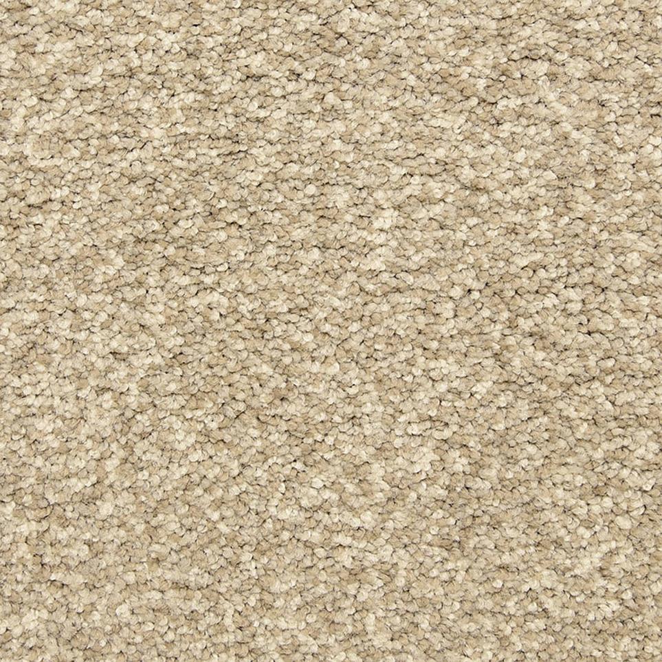 Textured Saxony Granite Beige/Tan Carpet
