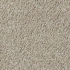 Textured Saxony Humarock Brown Carpet
