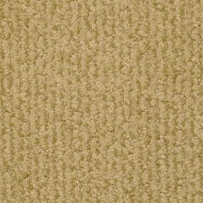 Pattern Pro Shop Beige/Tan Carpet