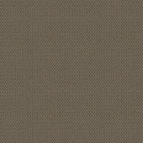 Loop Buffalo Brown Carpet