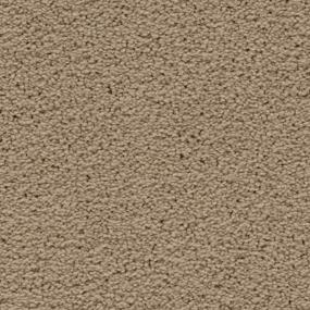 Textured Saxony Appealing Beige/Tan Carpet