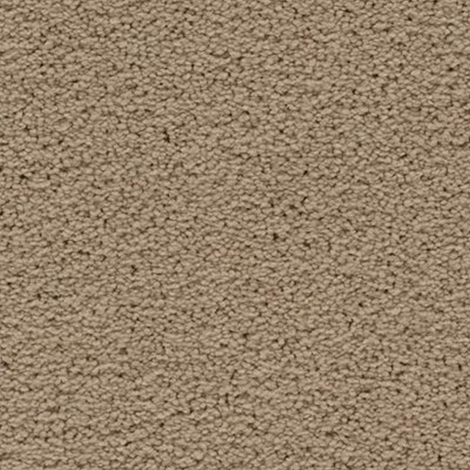 Textured Saxony Appealing Beige/Tan Carpet