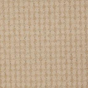 Texture Brave Beige/Tan Carpet