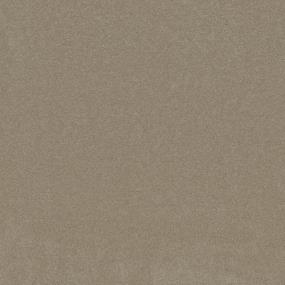 Textured Saxony Farmhouse Beige/Tan Carpet