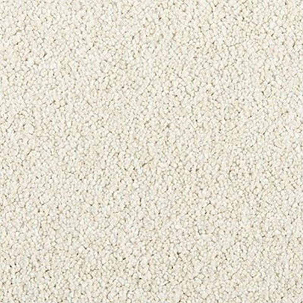 Textured Saxony Farmhouse Beige/Tan Carpet
