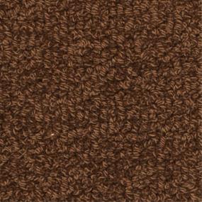 Loop Tammet Brown Carpet