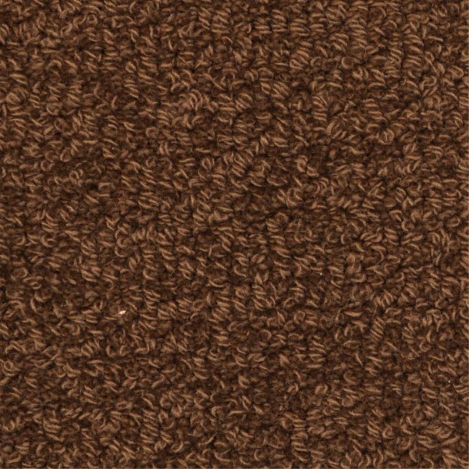 Loop Tammet Brown Carpet