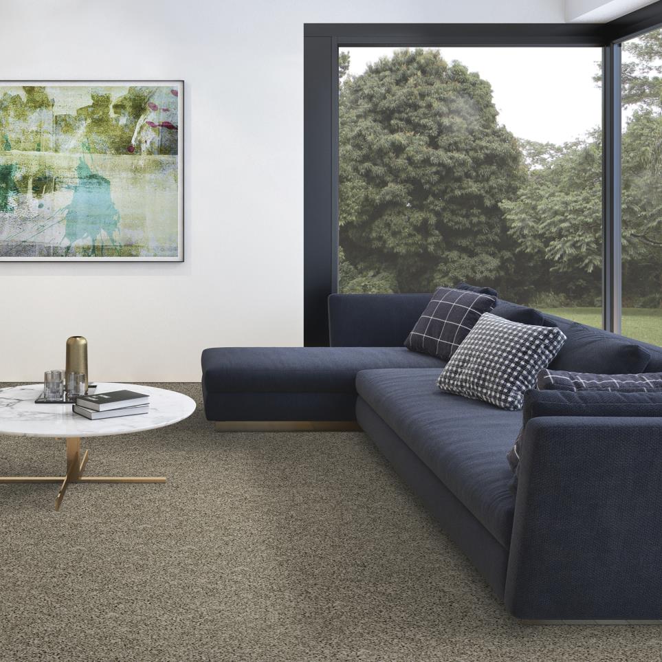 Textured Saxony Savory Beige/Tan Carpet
