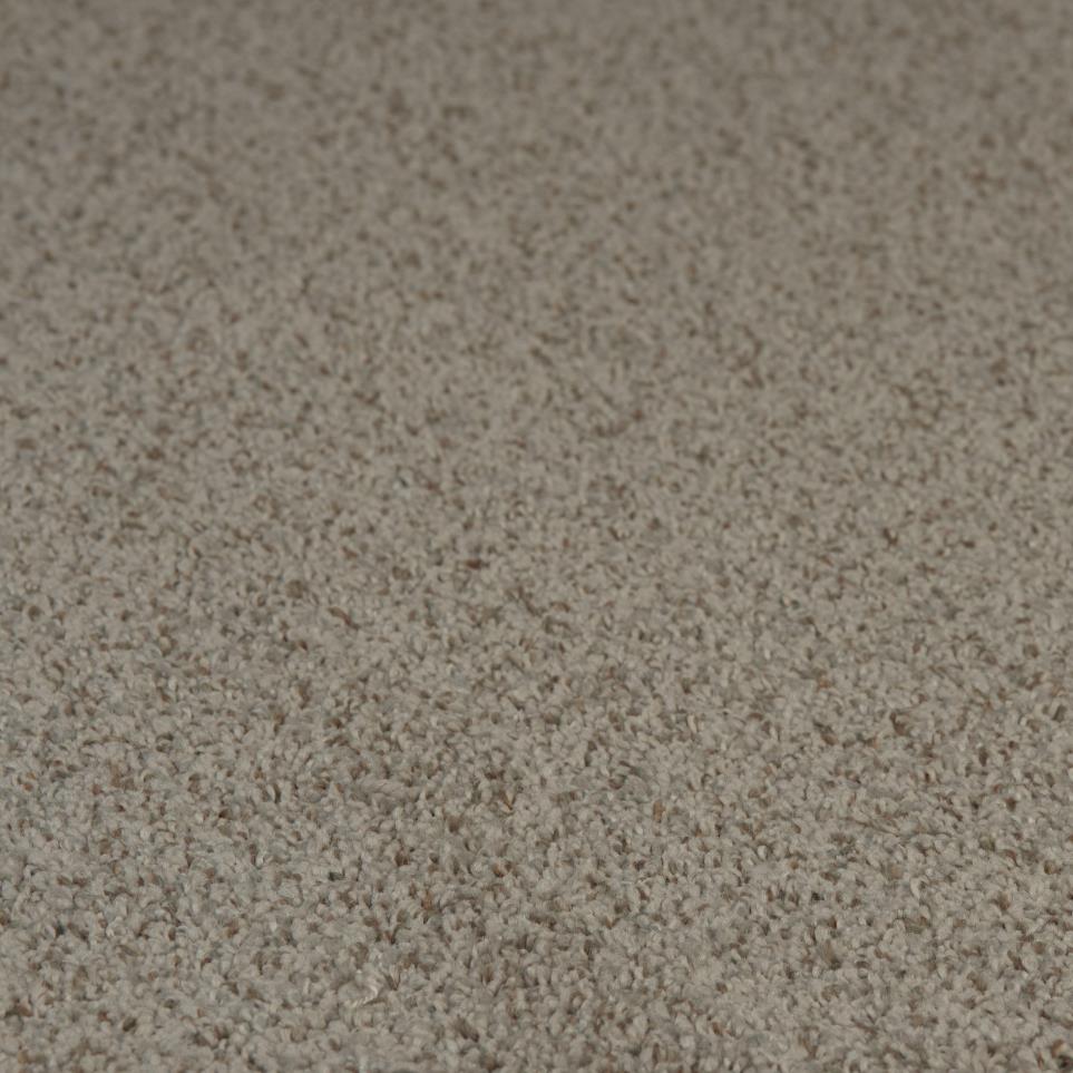 Textured Saxony Savory Beige/Tan Carpet