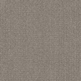 Pattern Fawn Bark Gray Carpet