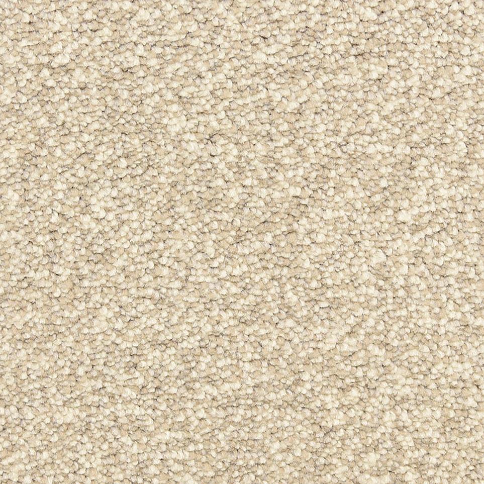 Texture Powder Grey Beige/Tan Carpet