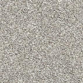Texture Frozen Lake Gray Carpet
