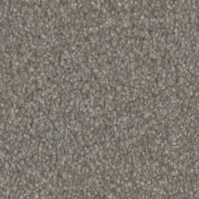 Textured Saxony Ruins Gray Carpet
