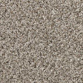 Textured Saxony Ancient Ruins Beige/Tan Carpet