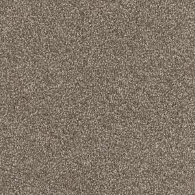 Textured Saxony Pinscher Brown Carpet