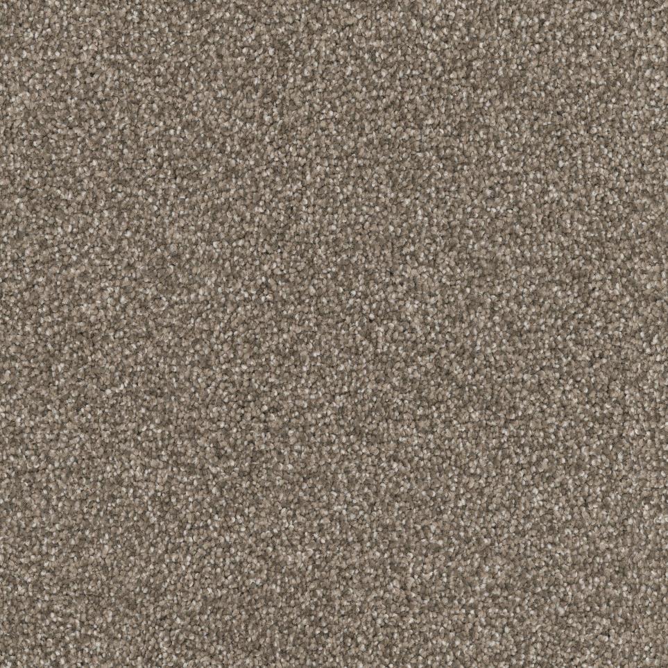 Textured Saxony Pinscher Brown Carpet