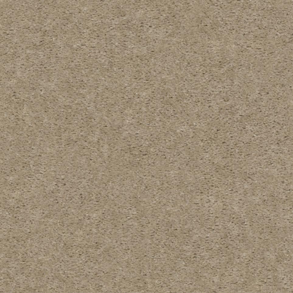 Texture Chiffon Beige/Tan Carpet